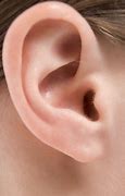 ear trumpet
